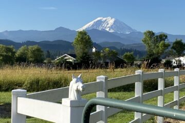 Photo by Doug and Debbie Vanous